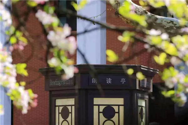 图片关键词 图片关键词